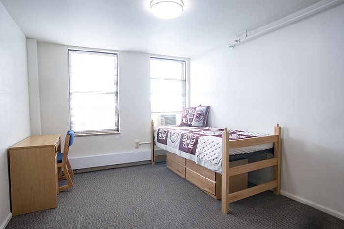 Highlands Apartment Single - bed desk and windows